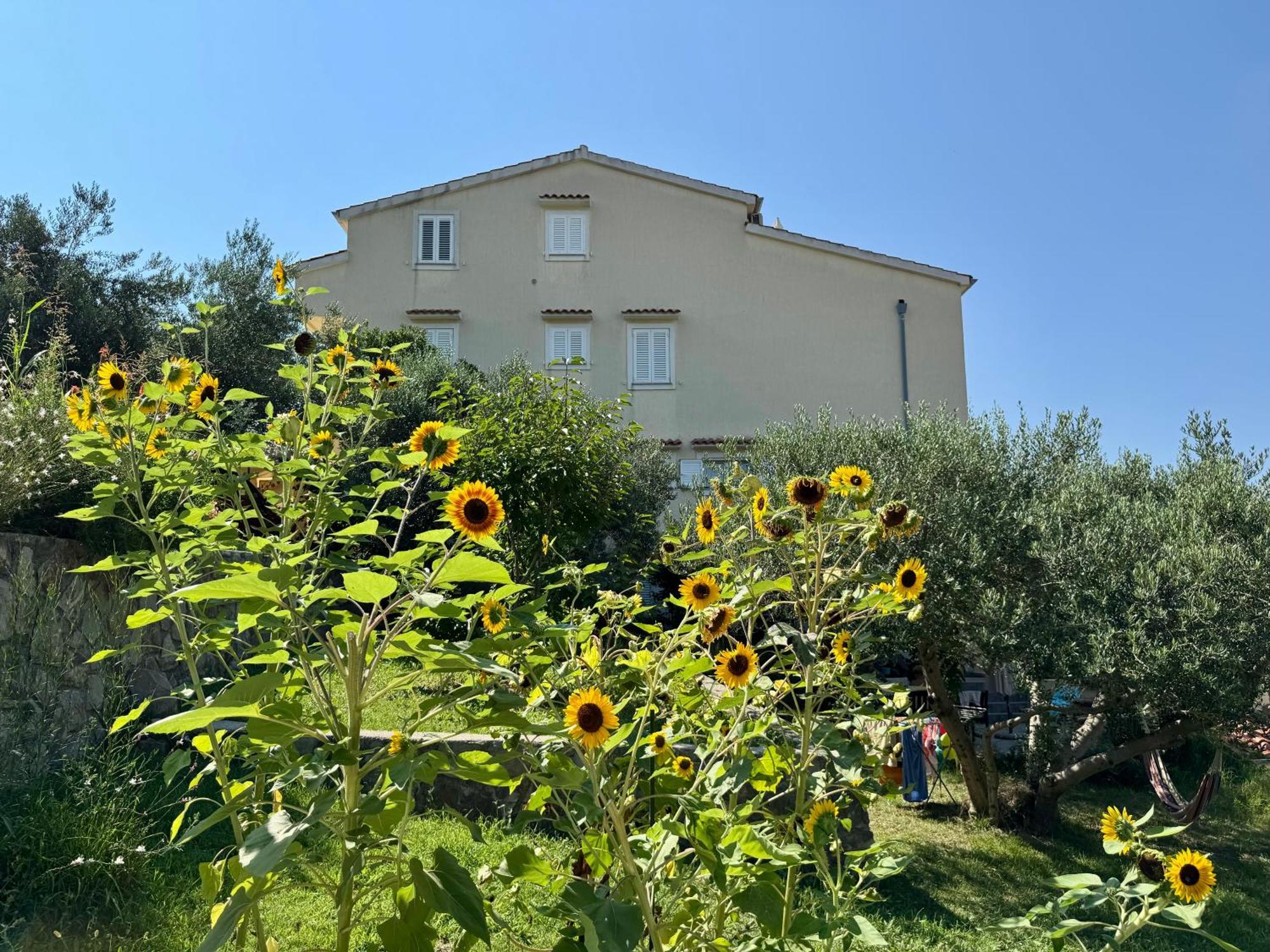 Apartments Maricic Банёл Экстерьер фото